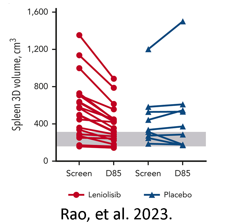 Liver size decreased for those on leniolisib compared to those on placebo.