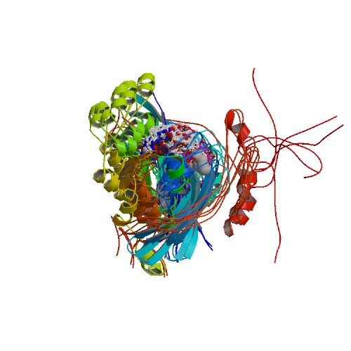 Molecular structure of WASp.