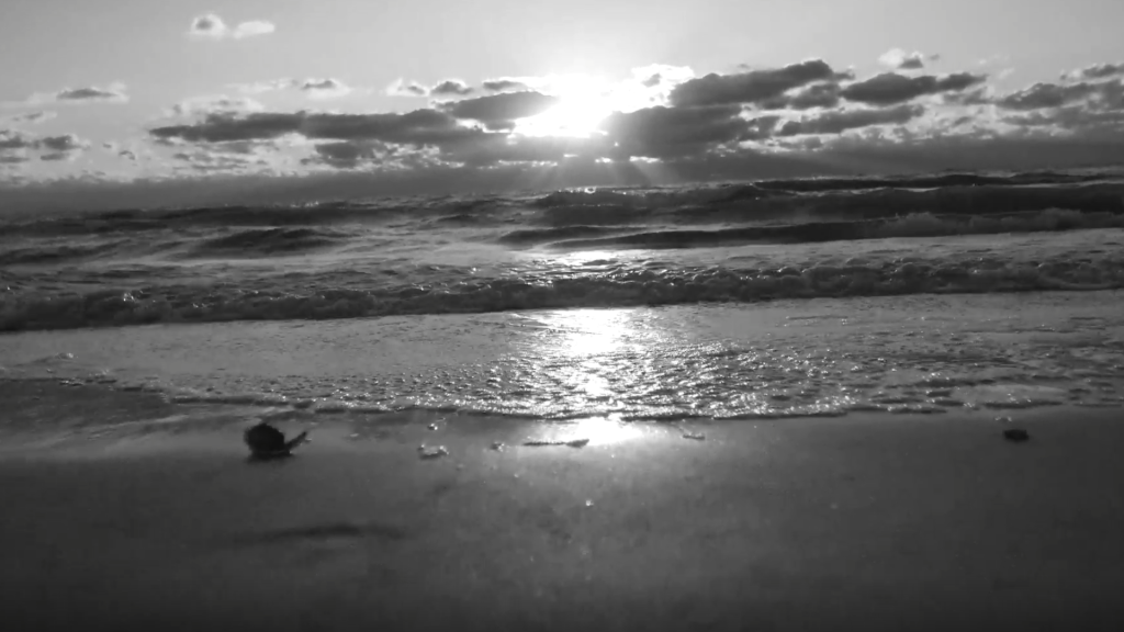 beach scene