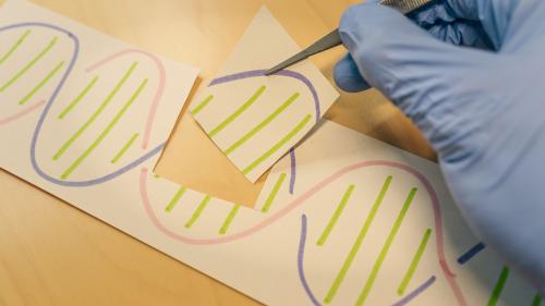 Gloved hand uses tweezers to remove a section of a paper drawing of DNA.