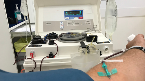 Plasma donor has blood run through plasmapharesis machine.