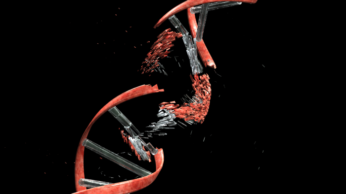 Double-stranded DNA break.